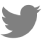 Logo Twitter